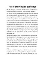 Rủi ro chuyển giao quyền lực pptx