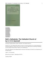 Bell''''s Cathedrals: The Cathedral Church of Norwich pdf
