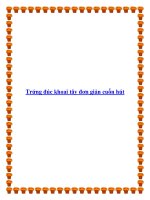 Trứng đúc khoai tây đơn giản cuốn hút docx