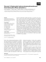 Báo cáo khoa học: Flavonol 3-O-glycoside hydroxycinnamoyltransferases from Scots pine (Pinus sylvestris L.) docx