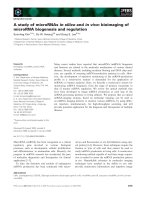 Báo cáo khoa học: A study of microRNAs in silico and in vivo: bioimaging of microRNA biogenesis and regulation doc