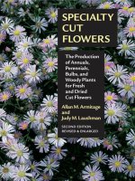 SPECIALTY CUT FLOWERS ppt