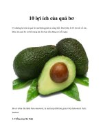 10 lợi ích của quả bơ pot