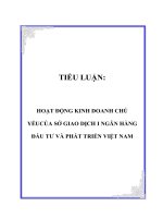 hoạt động kinh doanh chủ yếucủa sở giao dịch i ngân hàng đầu tư và phát triển việt nam