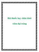 Bài thuốc hay chữa khỏi viêm đại tràng pdf