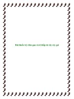 Bài thuốc trị viêm gan và tê thấp từ cây ráy gai docx