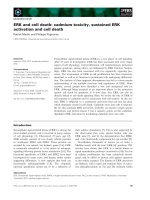 Báo cáo khoa học: ERK and cell death: cadmium toxicity, sustained ERK activation and cell death pot