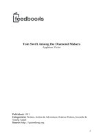 Tom Swift Among the Diamond Makers pot