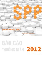 báo cáo thường niên năm 2012
