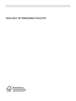 Biology of Breeding Poultry potx