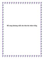 Bổ sung khoáng chất cho tôm thẻ chân trắng docx