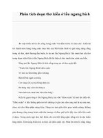 Phân tích doạn thơ kiều ở lầu ngưng bích pdf