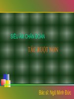 Tắc ruột non pptx