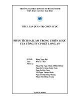 tiểu luận phân tích sai lầm trong chiến lược của công ty cổ phần dệt long an