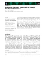 Báo cáo khoa học: Evolutionary changes to transthyretin: evolution of transthyretin biosynthesis doc