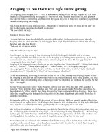 Aragông và bài thơ Enxa ngồi trước gương