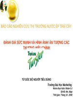 ĐÁNH GIÁ SỨC MẠNH VÀ HÌNH ẢNH/ ẤN TƯỢNG CÁC THƯƠNG HIỆU CHÍNH doc