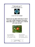 khảo sát sự biến đổi hoạt chất của quả sơri (malpighia punicifolia) theo độ chín và theo quá trình lên men rượu
