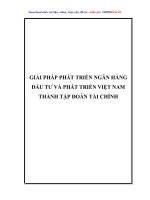 BÌA NGOÀI Giải pháp phát triển Ngân hàng Đầu tư và Phát triển Việt Nam thành tập đoàn tài chính