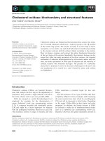 Báo cáo khoa học: Cholesterol oxidase: biochemistry and structural features ppt