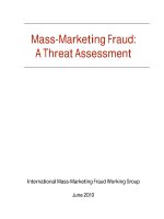 Mass-Marketing Fraud: A Threat Assessment doc