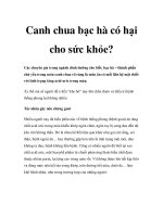 Canh chua bạc hà có hại cho sức khỏe? pot