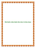 Bài thuốc chữa bệnh tiêu chảy từ thảo dược pptx