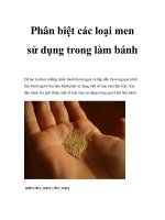 Phân biệt các loại men sử dụng trong làm bánh pdf