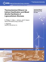 Thermochemical Ethanol via Indirect Gasification and Mixed Alcohol Synthesis of Lignocellulosic Biomass pot