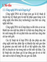 Cong nghe DNA tai to hop chuẩn