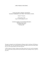 BANK FAILURES IN THEORY AND HISTORY: THE GREAT DEPRESSION AND OTHER 