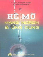 hệ mờ mạng nơron và ứng dụng