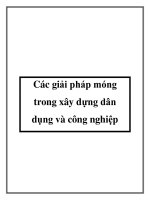 Các giải pháp móng trong xây dựng dân dụng và công nghiệp ppt