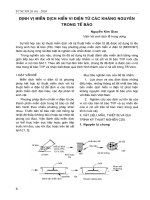 Định vị miễn dịch hiển vi điện tử các kháng nguyên trong tế bào pptx
