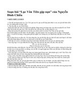 Soạn bài “Lục Vân Tiên gặp nạn” của Nguyễn Đình Chiểu