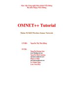 Omnetpp Tictoc tutorial