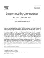 Concentration and distribution of extractable elements in soil as affected by tillage systems and fertil
