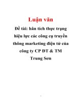 Phân tích thực trạng hiệu lực các công cụ truyền thông marketing điện tử của công ty CP ĐT và TM Trung Sơn