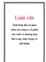 Luận văn: Tình hình đầu tư phát triển của công ty cổ phần sản xuất và thương mại Hạ Long: thực trạng và giải pháp pdf