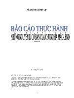 Báo cáo thực hành những nguyên lý cơ bản của chủ nghĩa Mác - Lênin pot