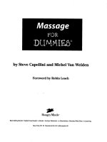 Massage for Dummies docx