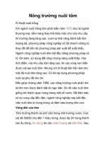 Nông trường nuôi tôm doc