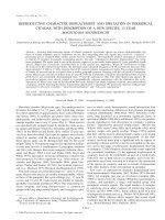 REPRODUCTIVE CHARACTER DISPLACEMENT AND SPECIATION IN PERIODICAL CICADAS, WITH DESCRIPTION OF A NEW SPECIES, 13-YEAR pot