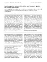 Báo cáo khoa học: Functionally active fusion protein of the novel composite cytokine CLC/soluble CNTF receptor pdf