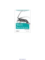 Web Services Essentials doc