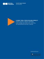 A NEW TOOL FOR SCALING IMPACT: HOW SOCIAL IMPACT BONDS CAN MOBILIZE PRIVATE CAPITAL TO ADVANCE SOCIAL GOOD doc