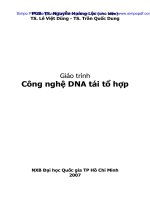 Công nghệ DNA tái tổ hợp pot