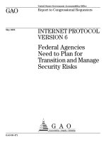 INTERNET PROTOCOL VERSION 6: Federal Agencies Need to Plan for Transition and Manage Security Risks pot