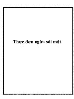 Thực đơn ngừa sỏi mật potx