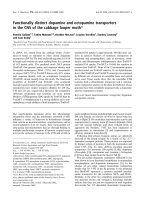 Báo cáo khoa học: Functionally distinct dopamine and octopamine transporters in the CNS of the cabbage looper moth* potx